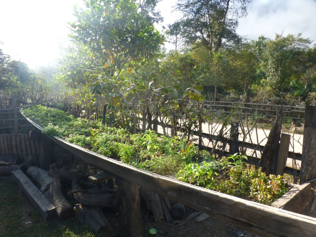 kens herb garden, naturally in an old river boat