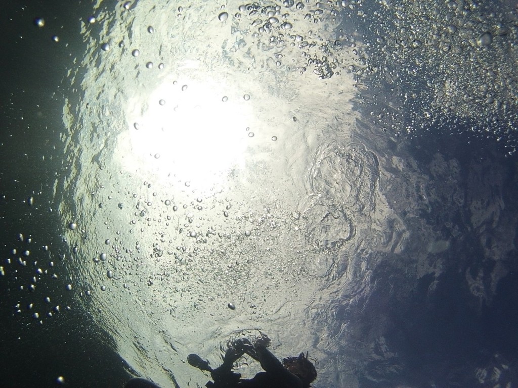 the shimmering surface of the ocean from underneath