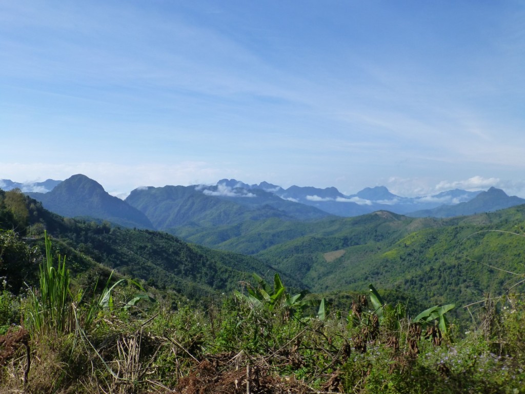 P1030328
