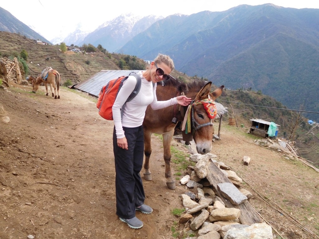 Beautiful donkeys along the way!