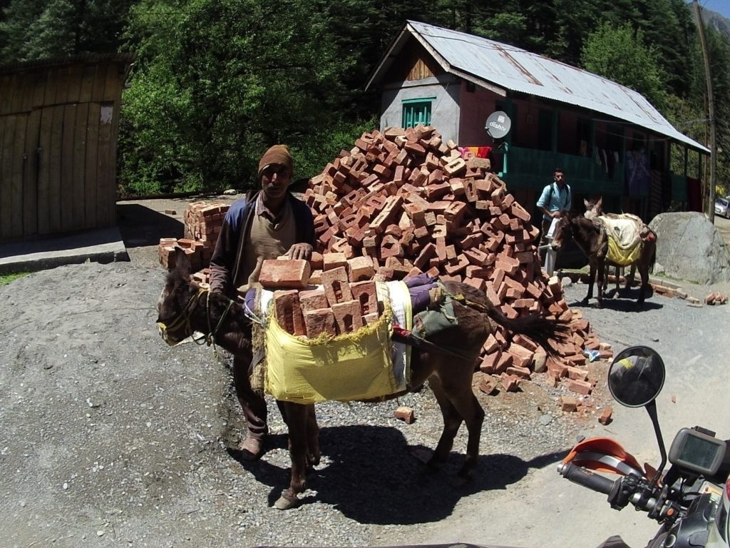 donkeys are still a genuine mode of transport for various goods over here