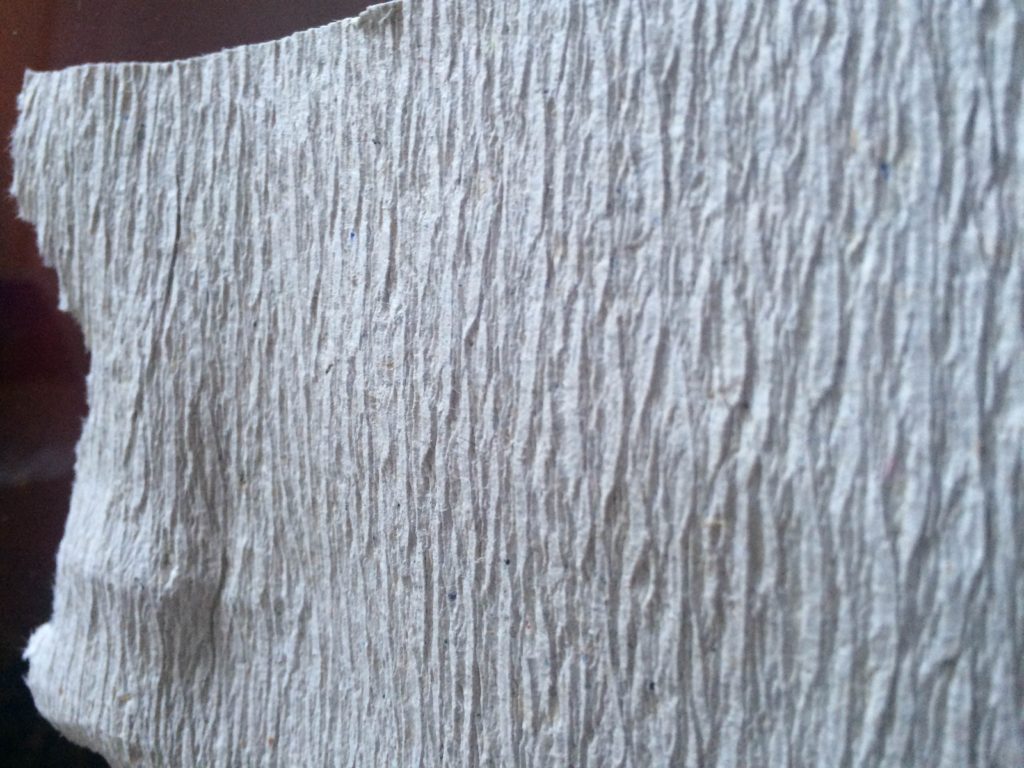 Lovely rough paper for your bottom!