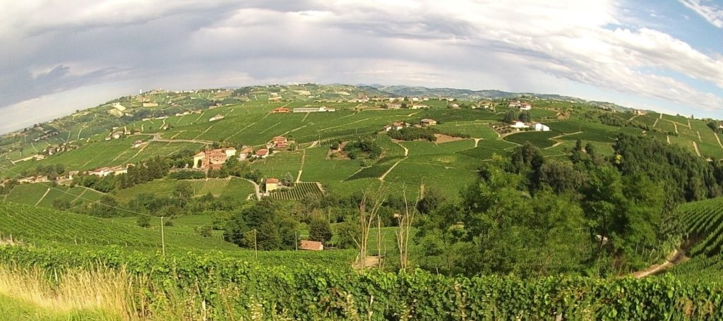 Barolo