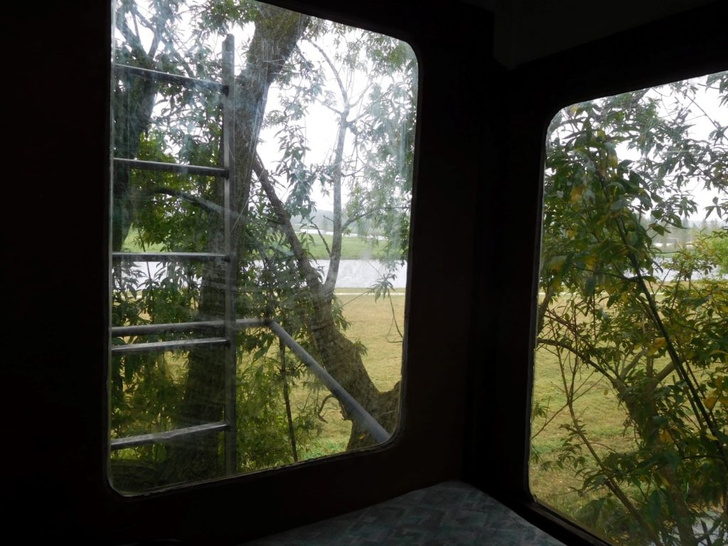 The view from our treehouse :)
