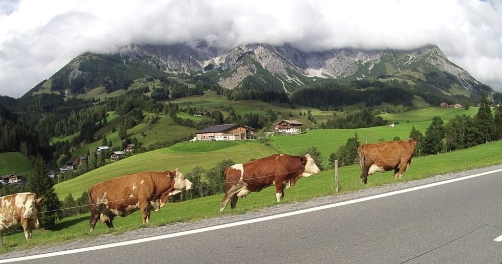 Austrian scenery